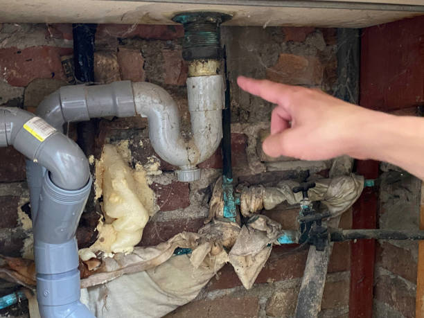 Best Plumbing Leak and Burst Pipe Cleanup in Woodstock, AL